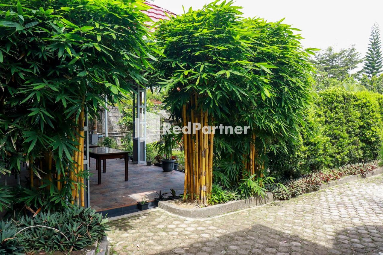 Hd Garden Villa Redpartner Jangkang Екстер'єр фото